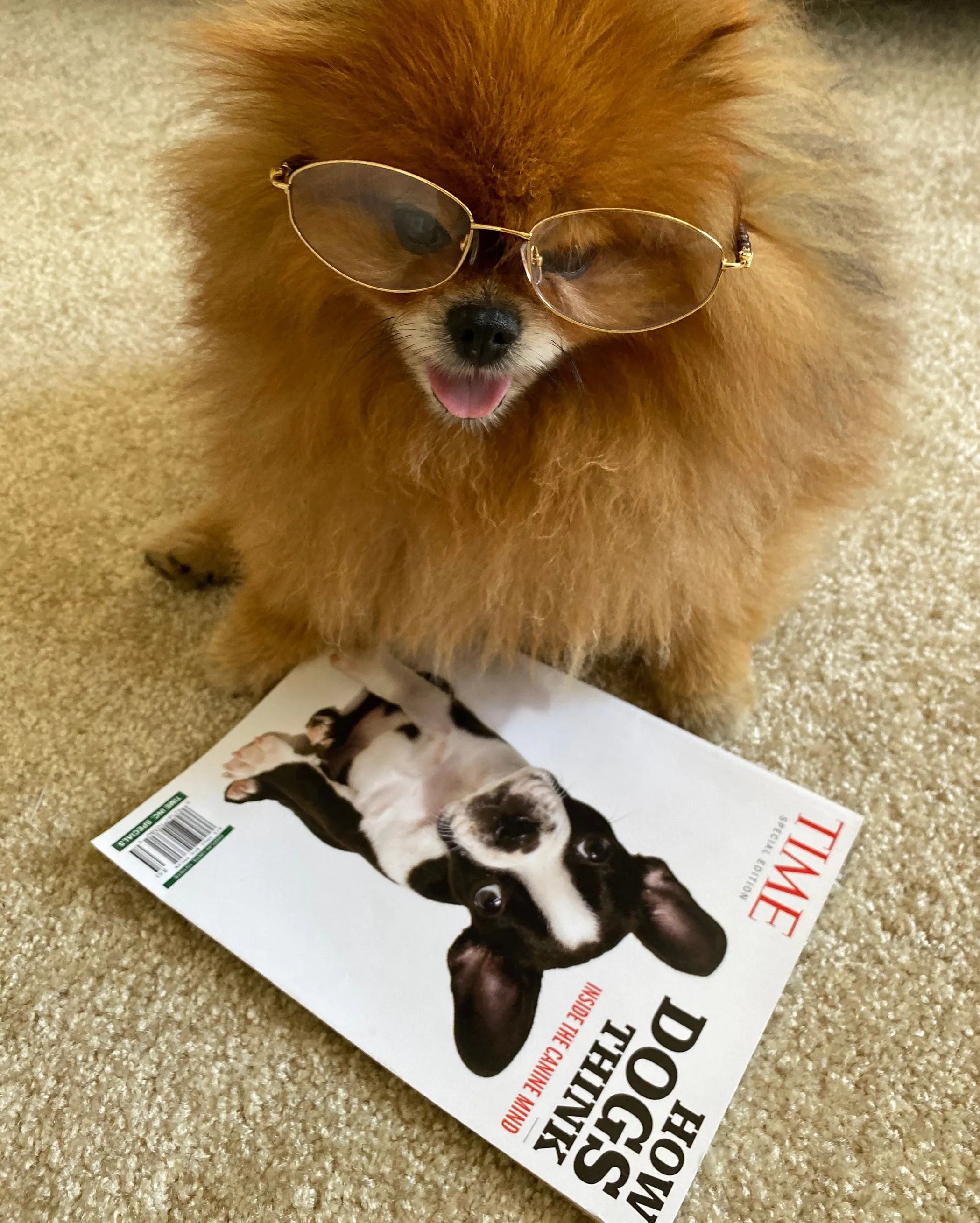 Unisex Bravo Blue Light Filter Lens Glasses