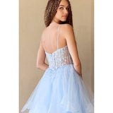 Sleeveless Bustier Illusion Top A Line Dress