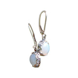 Botanical Sterling Silver Lever Back Earrings