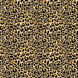 "Cheetah" Limited Edition Sports Bra